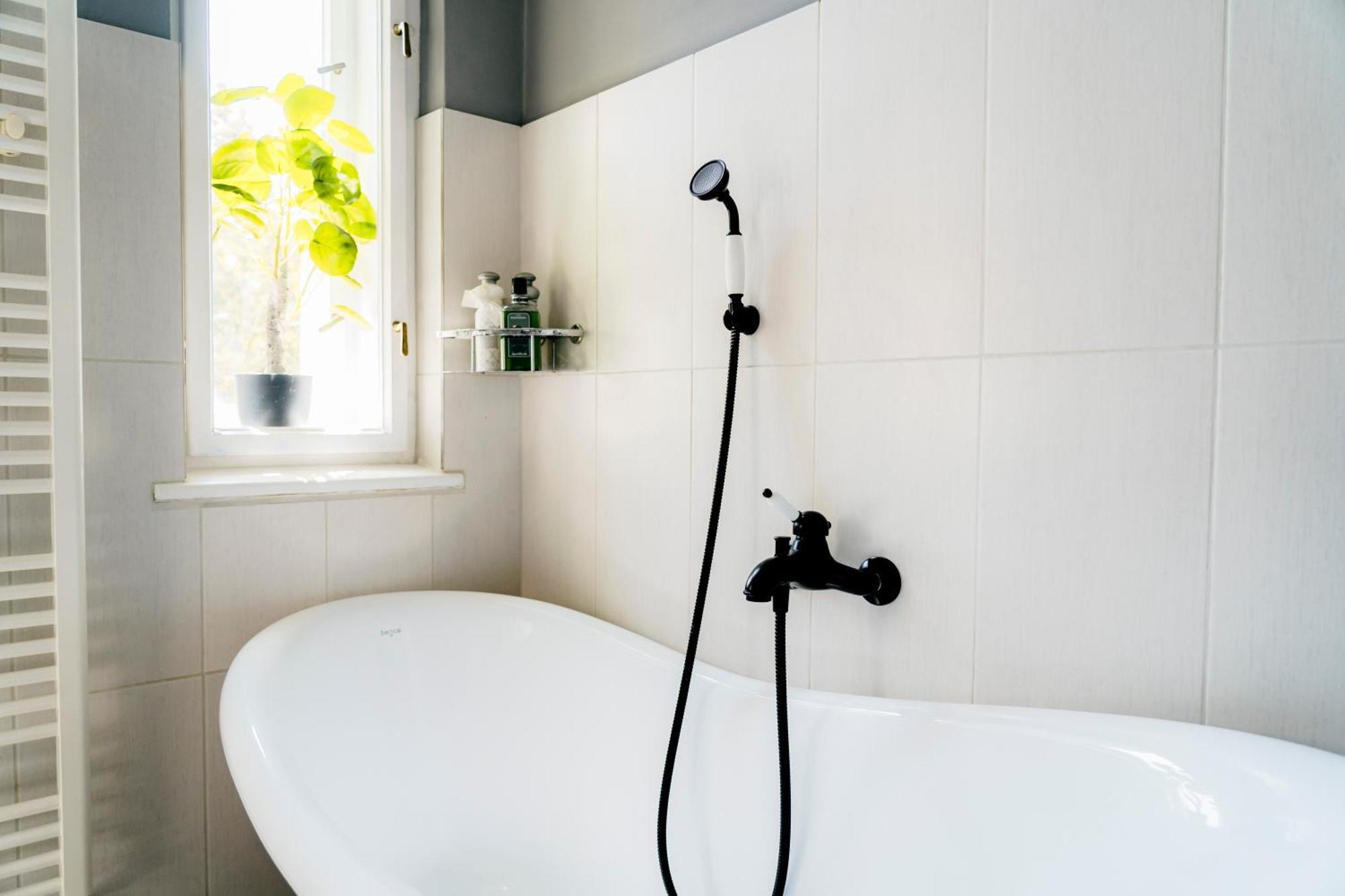 Business & Family Apartment Letna Кошице Экстерьер фото